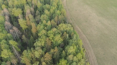 Top view of a green forest, fields and road. Summer landscape Stock-Footage 121073100