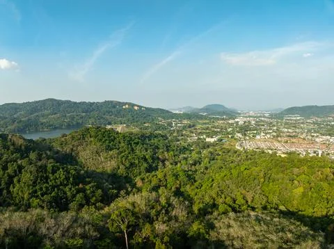 Top view green forest trees background, Beautiful green nature background Foto stock