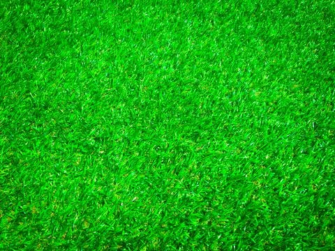 Top view of green grass texture background. Element of design. Stock-Fotos