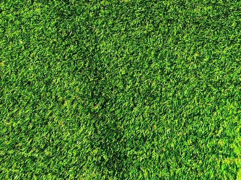 Top view of green grass texture background. Element of design. Foto stock