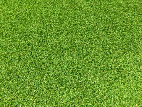 Top view of green grass texture background. Element of design. Stock Photos