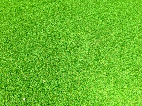 Top view of green grass texture background. Element of design. Foto stock