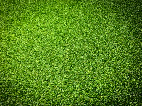 Top view of green grass texture background. Element of design. Foto stock