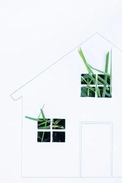 Top view green grass windows Stock Photos