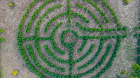 Top View Of Green Labyrinth Stock Footage 140786491