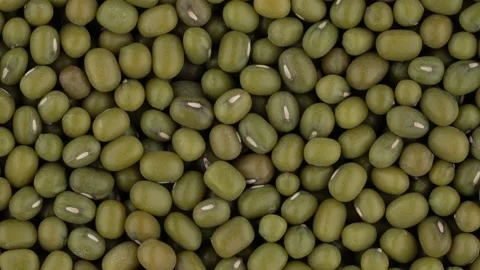 Top view of green mung beans rotating. Closeup. Macro. Stock Footage 170433833