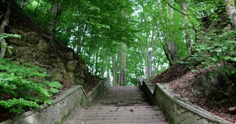 Top view of green tree crowns in a forest and wide stone stairs Stock Footage 343544417
