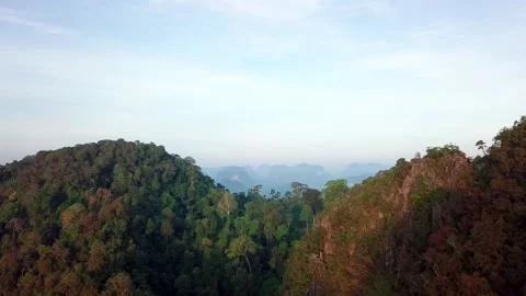 Top view of green tropical Mountains Stock Footage 161465798