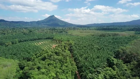 Top view of green tropical Mountains Stock Footage 161465799