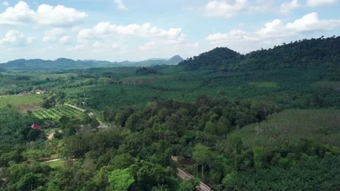 Top view of green tropical Mountains Stock Footage 161465837