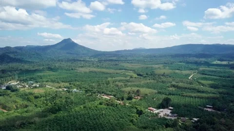Top view of green tropical Mountains Stock Footage 161465849