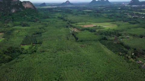 Top view of green tropical Mountains Stock Footage 161872864