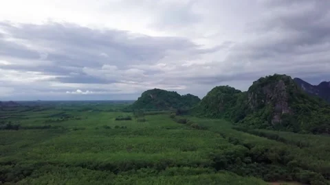 Top view of green tropical Mountains Stock Footage 162611222