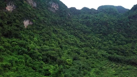 Top view of green tropical Mountains Stock Footage 162611247