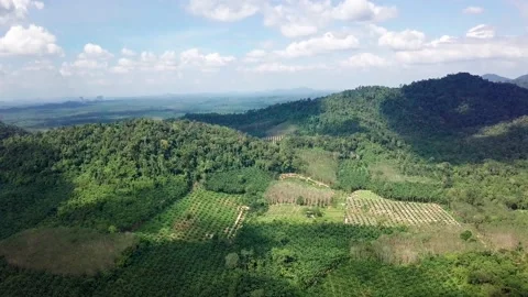 Top view of green tropical Mountains Stock Footage 162611301