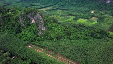 Top view of green tropical Mountains Stock Footage 162725862