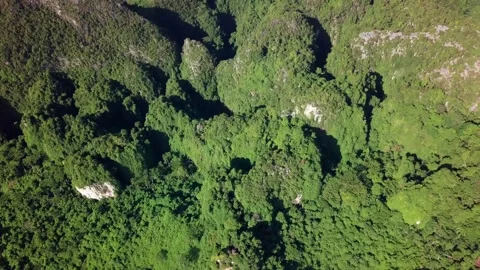 Top view of green tropical Mountains Stock Footage 162956768