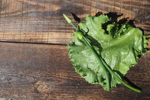 Top view of green vegetables on rustic table, close up Stock Photos