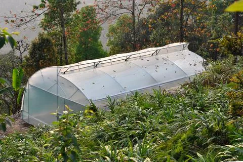 Top view of Greenhouse structure. Stock Photos