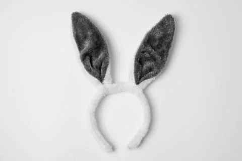 Top view of grey rabbit ears on white background easter minimal blogger conce Stock Photos