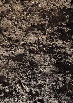Top view, ground texture. Background of natural soil. Hard soil, unsown soil Stock Photos