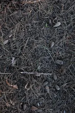 Top view, ground texture. Background of natural soil. Hard soil, unsown soil Stock Photos