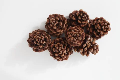 Top view of a group of large pine cones isolated on white background Stock Photos