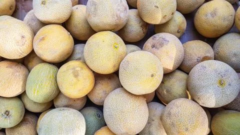 Top view of group of melons Stock Photos