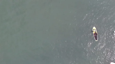 Top view of Group paddling together on paddle boards during lesson in the ocean Видео 108623235