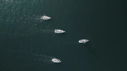 Top View group of sailing yachts sailing in the harbor of Halifax, Canada. Stock Footage 247467980