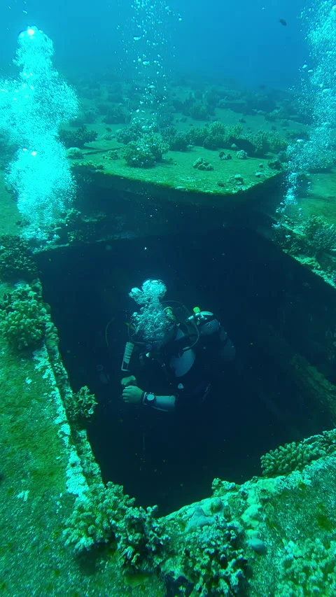 Top view of group of scuba divers emerge from hold of wreck of Salem Express Stock Footage 305325637