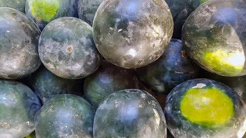 Top view of group of watermelons Stock Photos