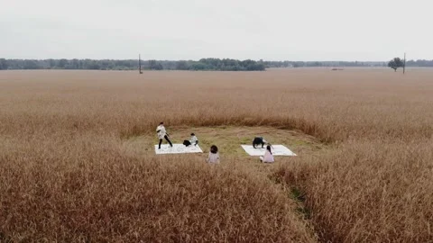 Top view of a group of young people who are drawing abstract paintings on 库存影片 167201698