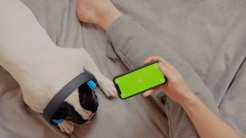 Top view guy holding smartphone with green screen plays online Stock Footage 123956228