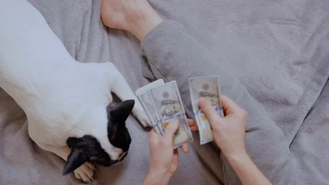 Top view guy sitting on couch counts money Stock Footage 123956436