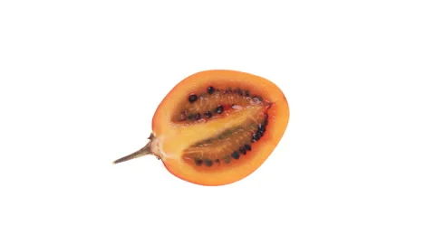 Top view of halved tamarillo fruit rotating. Isolated on white background. Stock-Footage 161028880