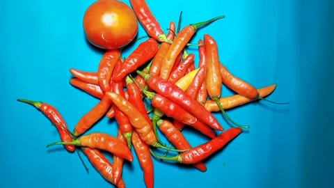 Top view of hands adding red tomatoes among scattered chilies on cyan surface. Stock Footage 325613773