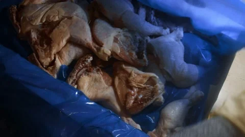 Top view of hands in gloves opening a box full of frozen chicken legs. Frozen Stock Footage 145695354