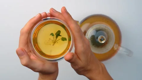 Top view of hands holding transparent mug with fresh herb tea. Pair of hands Stock Footage 342976670