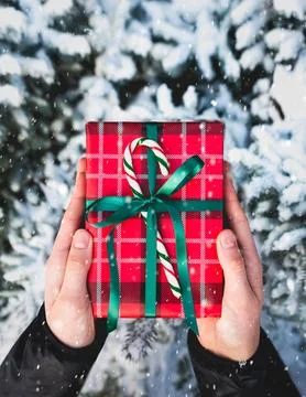 Top view hands holding wrapped Christmas gift over snowy branches. Stock Photos