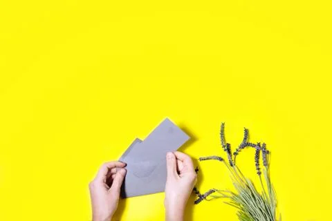 Top view hands opening grey envelope and lavender flowers on yellow backgroun Stock Photos