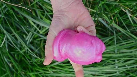 Top view of the hands of a small child holding a pink slime in her hands Stock Footage 127702864