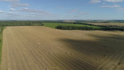 The top view of the harvested field of grain crops, in the distance the green Stock Footage 79436760