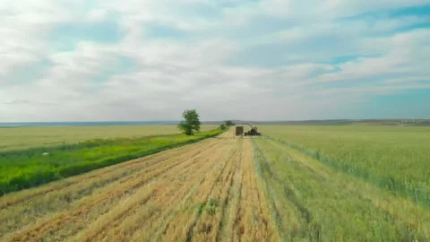 Top view of the harvesting process using heavy equipment, a combine harvester. A 库存影片 133593311