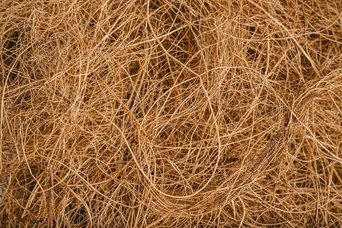 Top view hay background Stock Photos