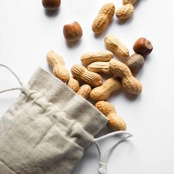 Top view on hazelnuts and peanuts in a cloth bag on a white background Foto stock