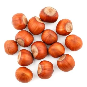 Top view of hazelnuts isolated on white background Stock Photos