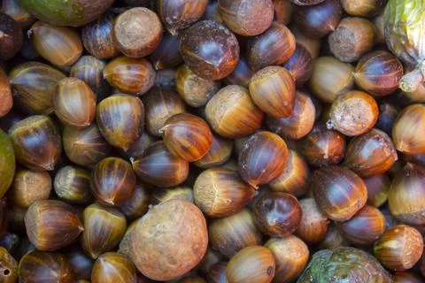 Top view heap of chestnuts Fotos Stock