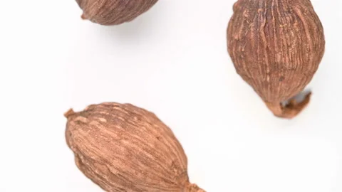 Top view herb CaoGuo or Tsaoko Fructus or Tsaoko Amomum Fruit rotating Stock Footage 161582939