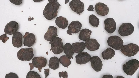 Top view herb Dandouchi or Sojae Semen Praeparatum or Fermented Soybean Video stock 310819684